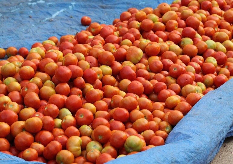 Aντιλαϊκό νομοσχέδιο για τις λαϊκές αγορές